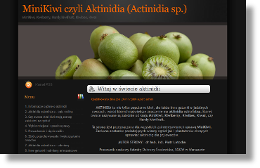 link do aktinidia